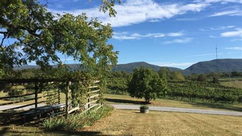 Explore Wine Country In Virginias Scenic Shenandoah Valley