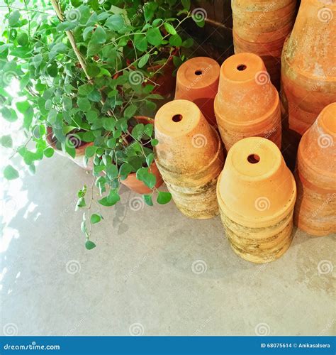 Stacked Clay Pots And Green Plants Stock Photo Image Of Pots Colour