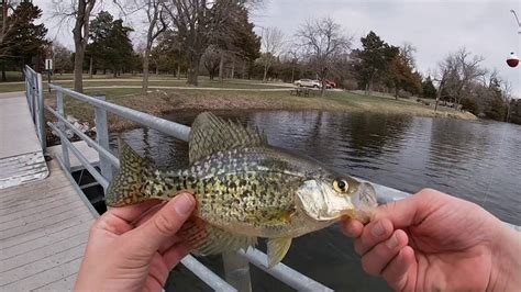 Spring Crappie Fishing Youtube