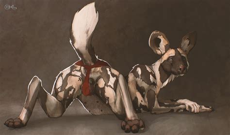 Rule 34 2023 4 Nipples African Wild Dog Anatomically Correct