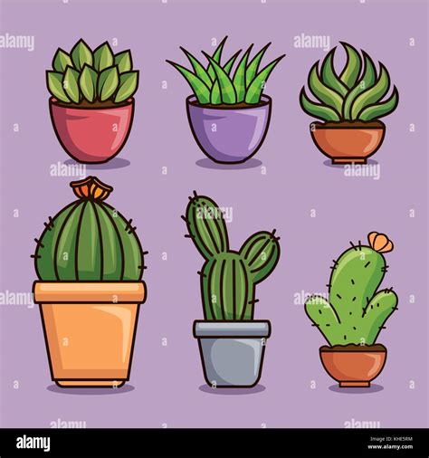 Cute Kawaii Cactus And Succulent Cartoon Stock Vector Image And Art Alamy