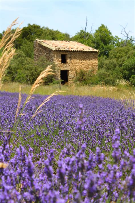 Shop drome at lyst to discover a wide selection of the latest clothing, shoes and accessories. The Dieulefit-Bourdeaux area - Drôme Provençale Tourism