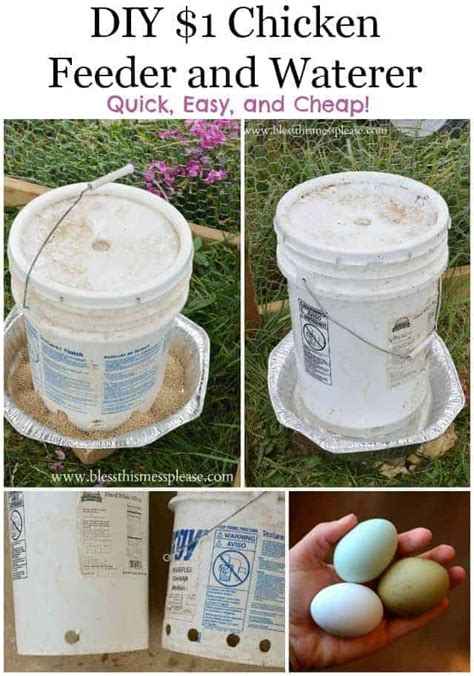 Diy Chicken Water And Feeder From 5 Gallon Buckets