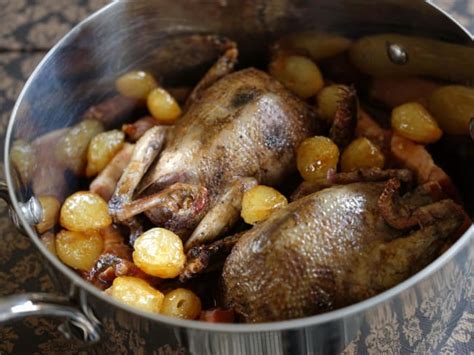 Pour les amateurs de pigeon sauvages ou délevage retrouvez nos
