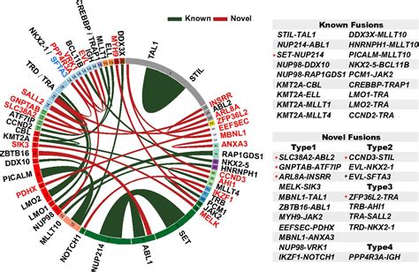 Identification Of Fusion Genes And Characterization Of Transcriptome