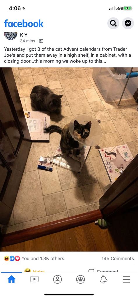 Two Cats Are Sitting On The Floor In Front Of A Facebook Page That Says