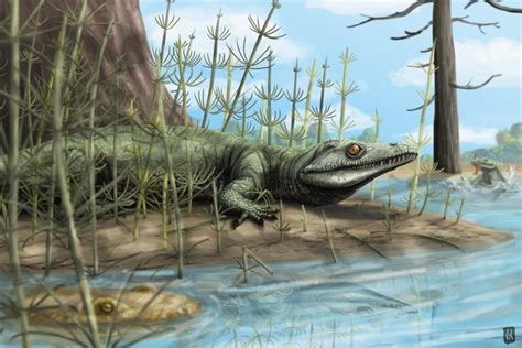 Unearthing An Old Reptilian Relative Of Dinosaurs The New York Times