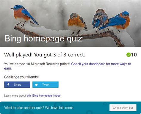 Take The Bing Homepage Quiz Challenge In 2021 Challenges Quiz Blue Bird