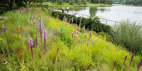 Native Plant Garden Chicago Botanic Garden