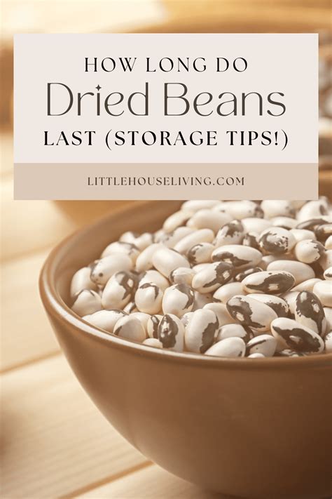 how long do dried beans last storage tips