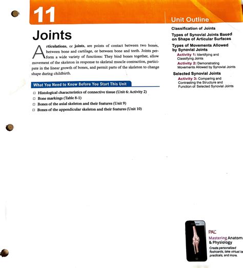 Unit 11 Joints Lab Manual Joints A Rticulations Or Joints Are