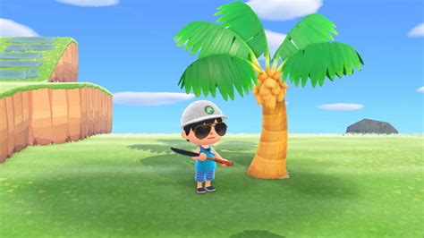 How To Plant Palm Trees On Grass In Animal Crossing New Horizons