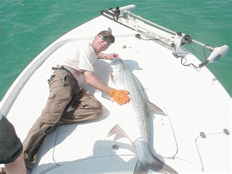 Find Key West Flats Fishing Information Here At Fla The
