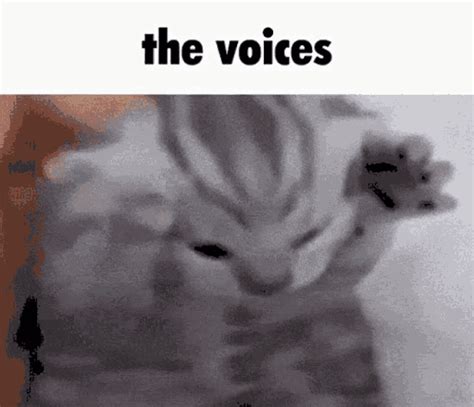 Schizo Cat The Voices Gif Schizo Cat The Voices Discover Share Gifs