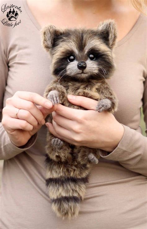 Raccoon Baby Stuffed Realistic Artist Toy Stuffed Ooak Collectible