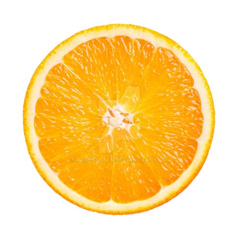 Slice of the cut orange. by PRUSSIAART on DeviantArt