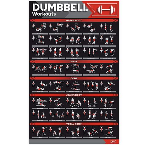 Buy Laminated Large Dumbbell Workout Perfect Dumbbell Exercise For Home Gym Large Size X