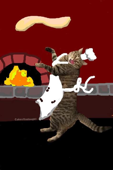 Guy Turns Snapchat Pictures Of Cats Into Masterpieces Fun