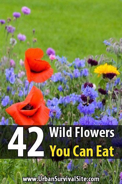 Don't overuse the flowery elements. Even if you don't have to eat wild flowers for survival ...