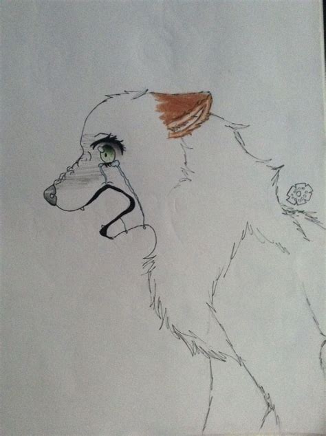 My Drawing Of A Wolf Crying And Her Name Is Rachel Wolf