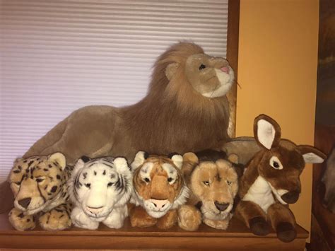 Big Cat Plush Collection By Zebralover214 On Deviantart In 2021 Cat