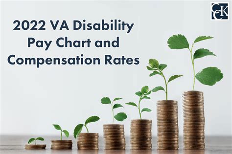 2024 Va Disability Rates Chart