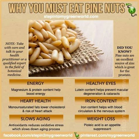 Health Benefits Pine Nuts Health Benefits