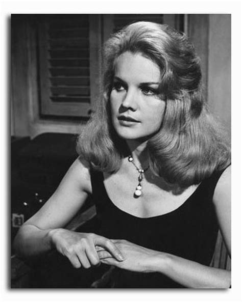 Ss2274649 Movie Picture Of Carroll Baker Buy Celebrity Photos And Posters At