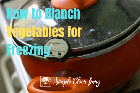 How To Blanch Vegetables For Freezing Frozen Vegetables Slow