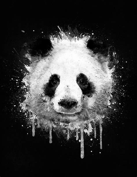 Cool Abstract Graffiti Watercolor Panda Portrait In Black And White