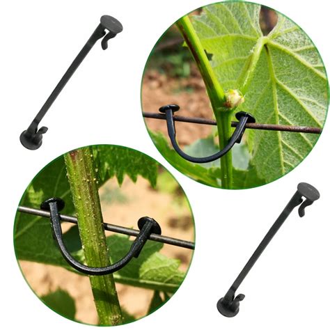 2000pcs Vines Fasteners Vegetable Strapping Clips Garden Plants Buckle
