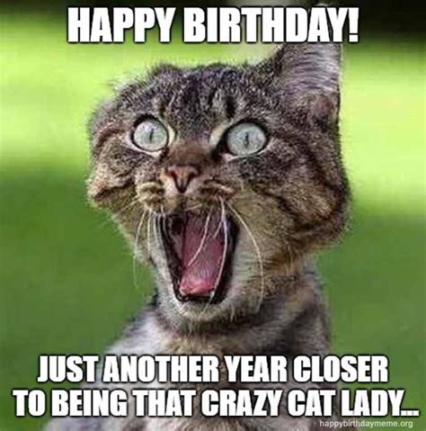 You don't look a day over 20. crazy cat lady meme birthday meme in 2020 | Sisters funny ...
