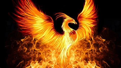 Fire Phoenix Animated Wallpaper Desktopanimatedcom Images