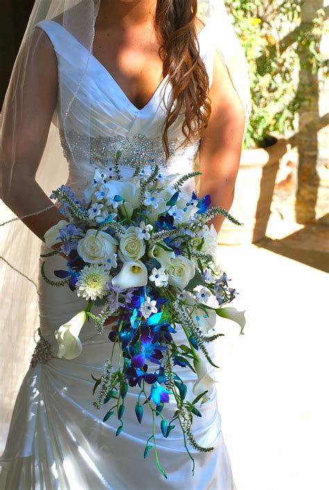 cascading bouquet with blue orchids calla lilies roses and stephanotis blossoms tropical