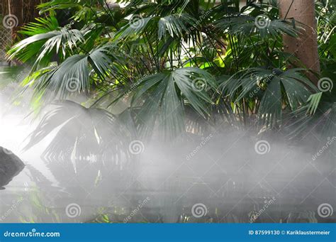 Mist Over The Water Stock Photo Image Of Foggy Haze 87599130
