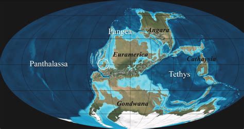 paleogeographic reconstruction of pangea and major oceanic areas at the download scientific