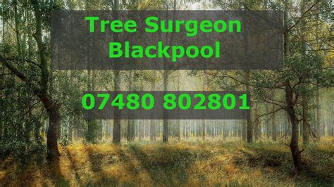 Tree Surgeon Blackpool Stump Root Tree Removal Tree Trimming Services