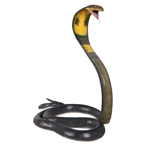 Free Snake Transparent Png Download Free Snake Transparent Png Png