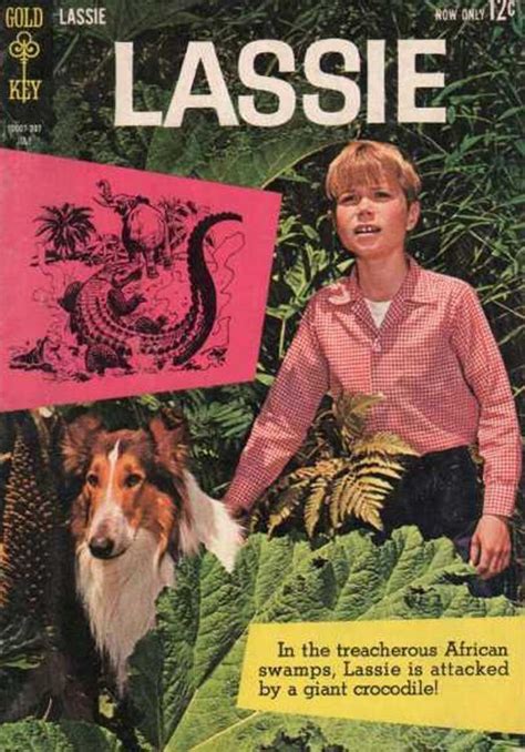 Lassie 59 Gold Key Comic Book Value And Price Guide