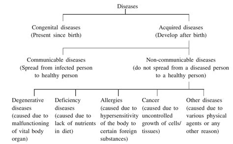 Types Of Diseases Study Page
