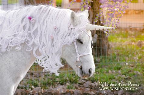 White And Platinum Unicorn Horn For Miniature Horse Pony Horse
