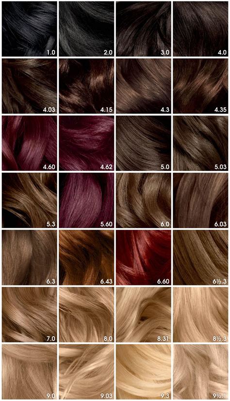 Garnier Olia Oil Powered Permanent Haircolor 316 Darkest