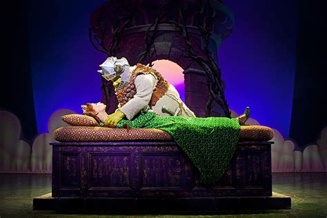 Amusings Shrek The Musical Theatre Review