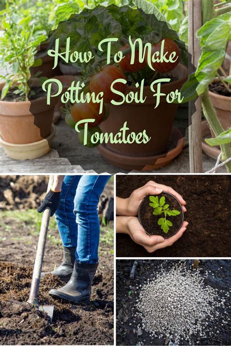 Don't transplant your tomato plants outside until the nighttime soil temperatures drop below 55 to 60°f. How To Make Potting Soil For Tomatoes - Easy To Do But ...