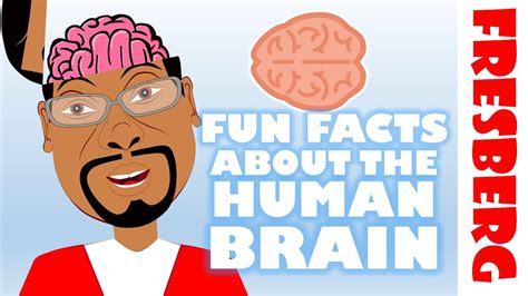 Fun Facts About The Brain For Kids Interesting Facts About The Human