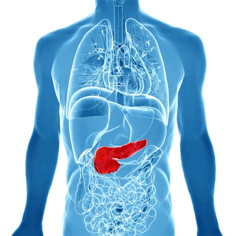 Discovery Of Molecular Pathway Could Lead To Pancreatitis Treatments