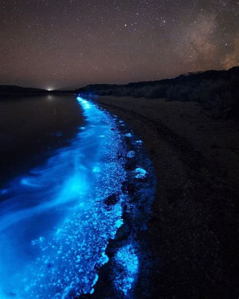 Bioluminescent Beach At Tasmania Australia 💙 Follow Jeanexplorer For