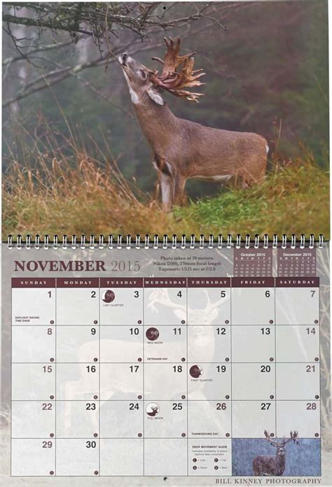 Pick Deer Rut Calendar Calendar Printables Free Blank