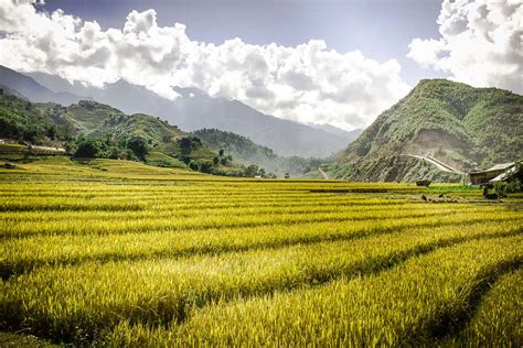 sapa-travel-6-tips-for-visiting-vietnam-s-northern-hill-station