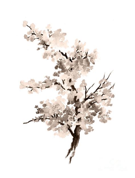 Cherry Blossom Tree Drawing Watercolor Painting Painting